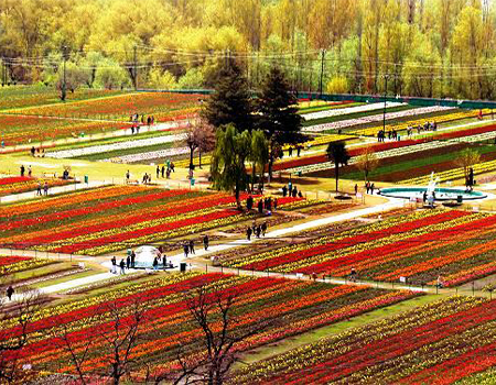 Ladakh Tour Packages